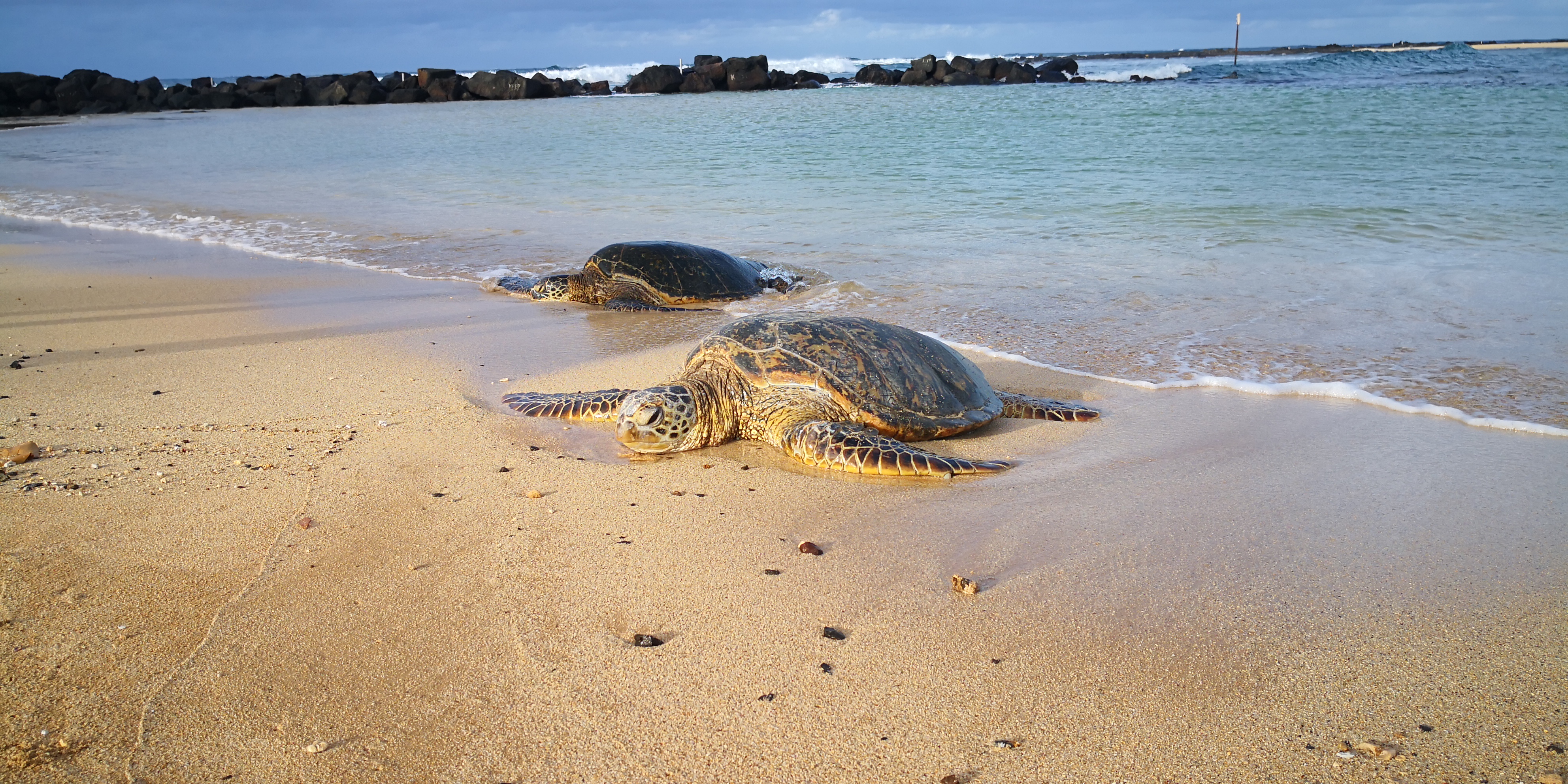 Poipu Beach, Kauai