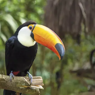 Brasilien Sehenswürdigkeiten und Geheimtipps