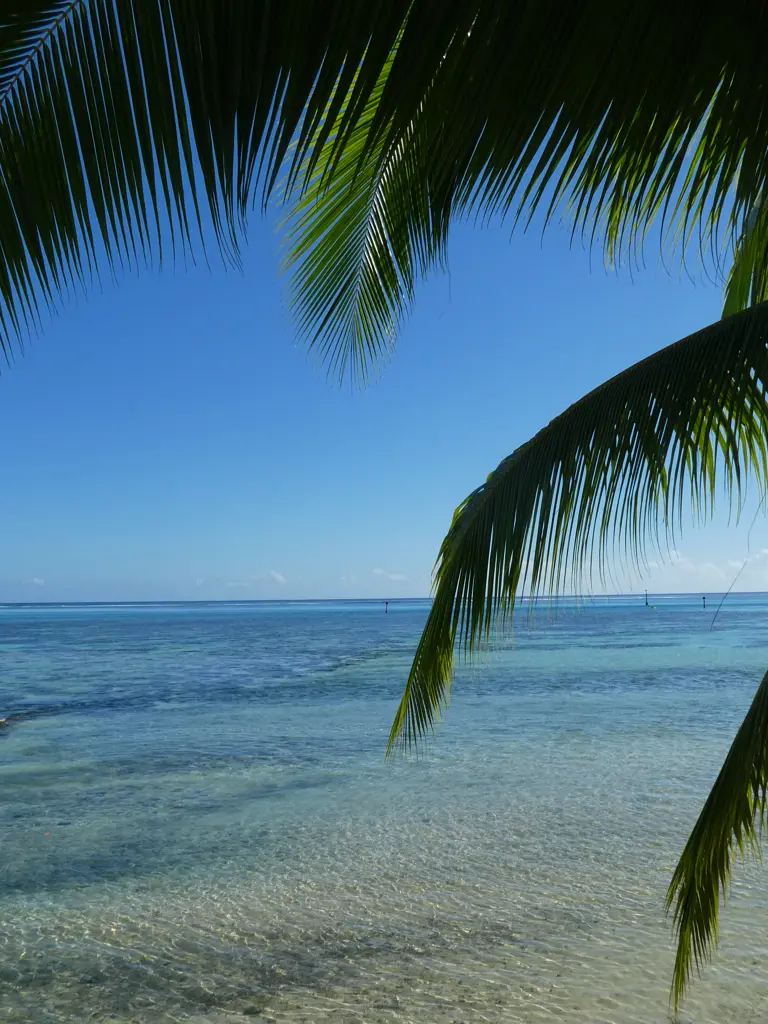 Mit dem Schiff nach Pitcairn die Insel der Bounty Meuterei
