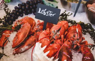 Geniesse den besten Lobster der Welt