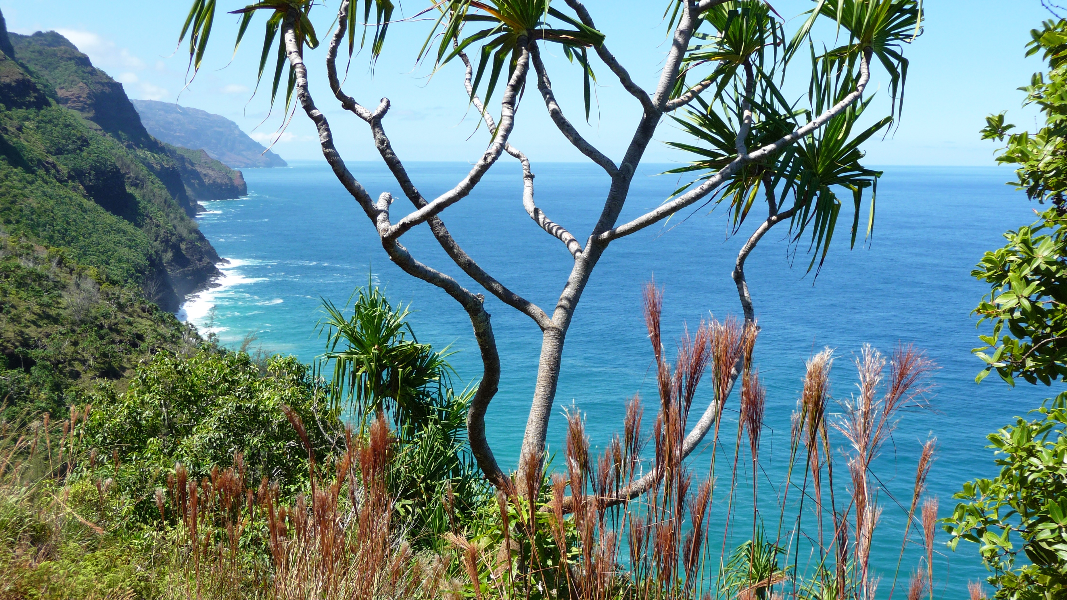 Bestaune die schöne Na Pali Küste