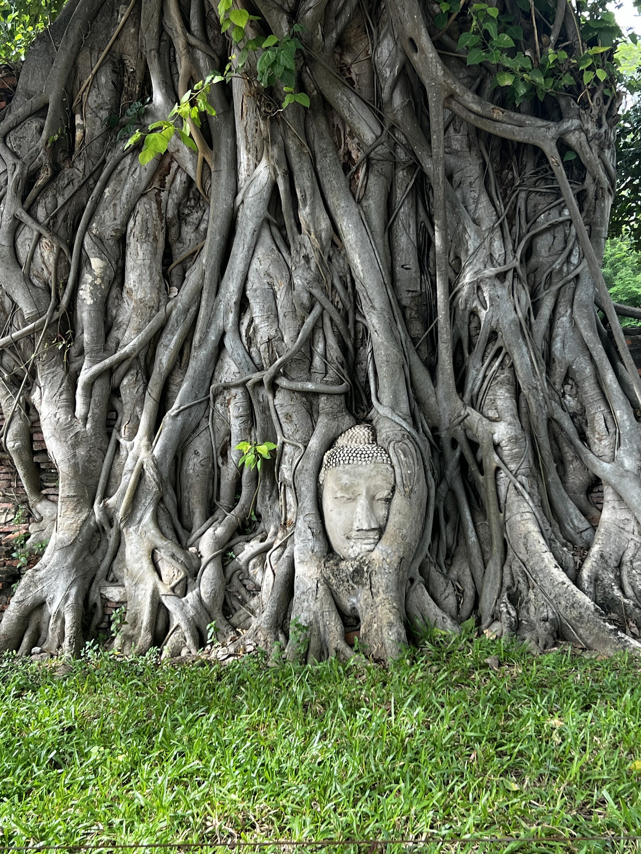 Ayutthaya – Jomtien