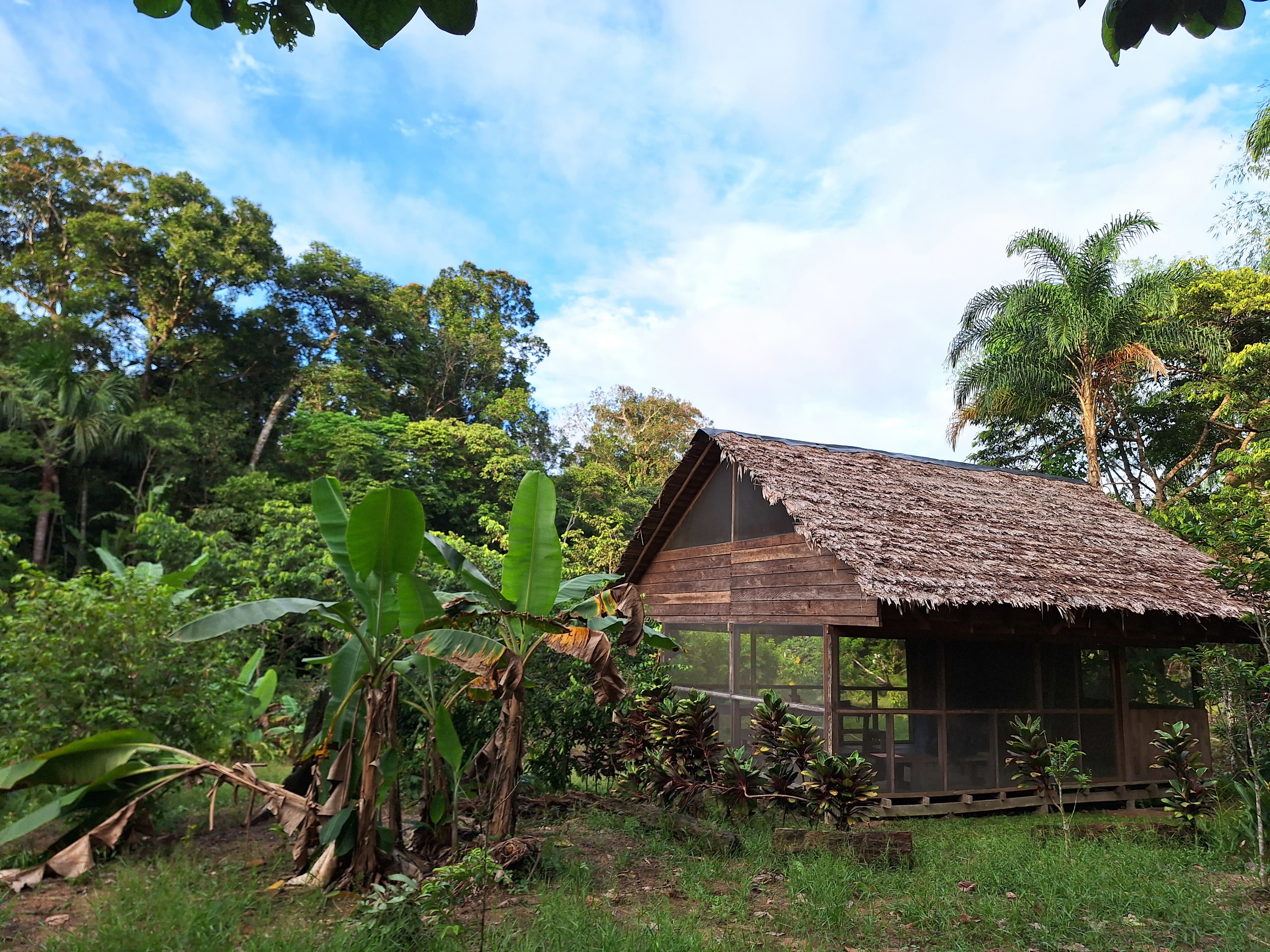Habitat Sur Amazonas
