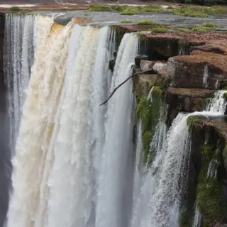 Reise zu den drei Guyanas – Naturspektakel in Südamerika