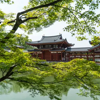 Besondere Japan Reisetipps für Grüntee-Fans