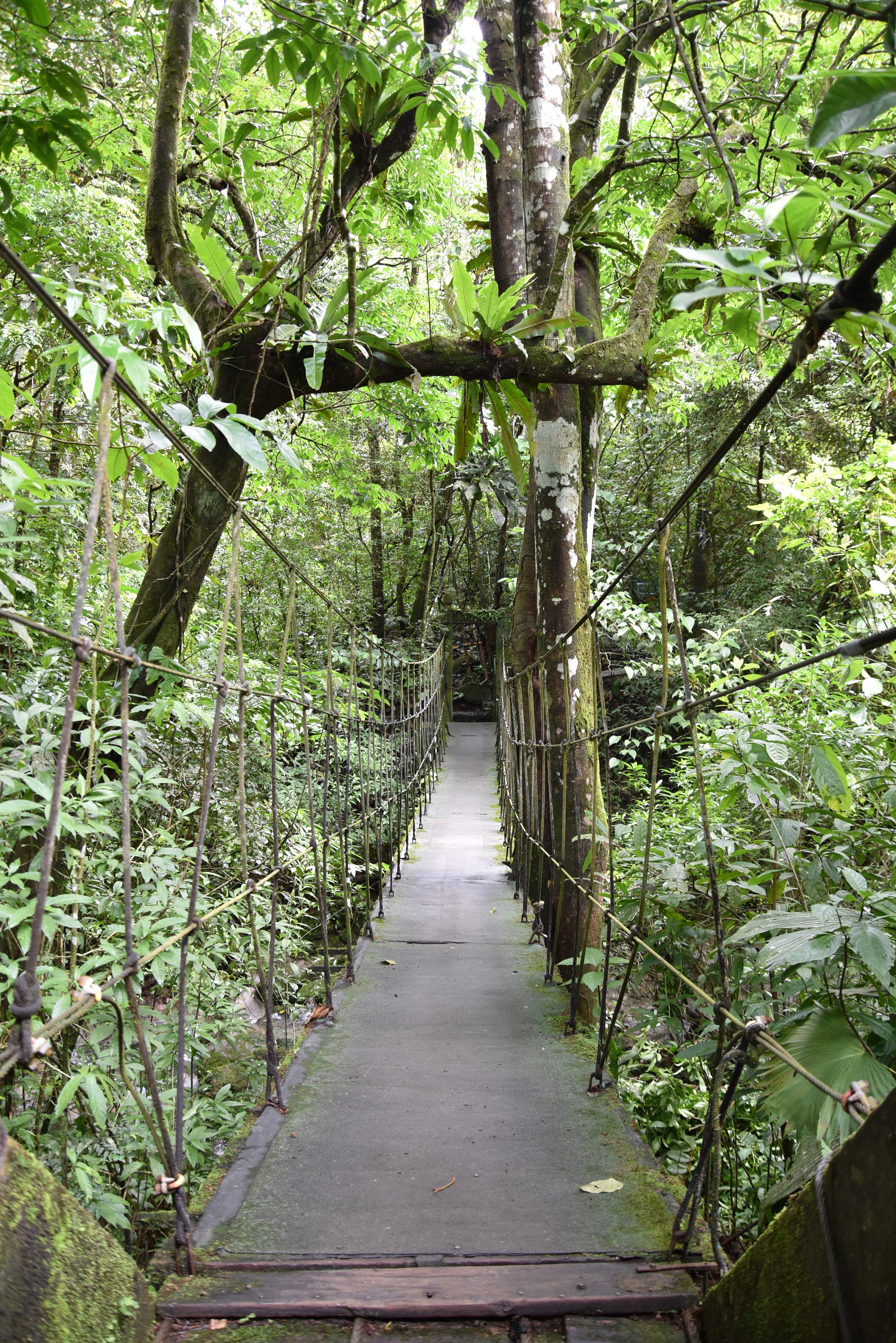 Chorro «El Macho», El Valle de Antón