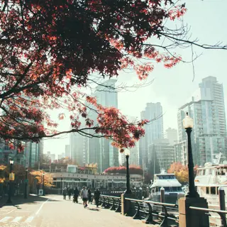 Die schönsten Vancouver Sehenswürdigkeiten mit Geheimtipps