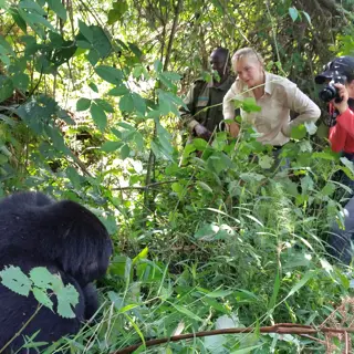 Gorilla Trekking in Uganda