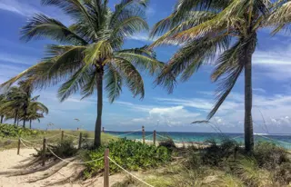 Besuche die schönen Strände von Miami Beach