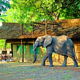 Safari Lodge – Wo gibt es was?