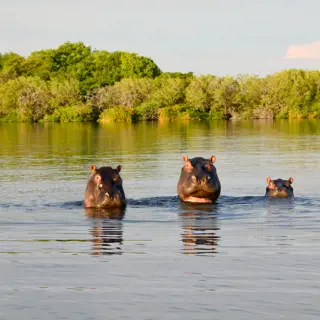 Botswana und Sambia – das wilde Herz des südlichen Afrikas