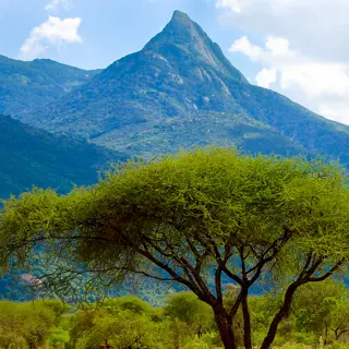 Ol Doinyo Longido – der Berg des langen Krieges