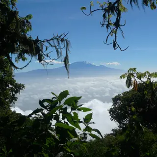 Den Kilimanjaro besteigen