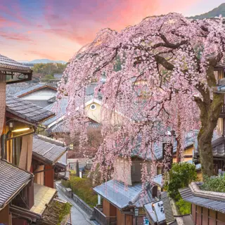 Rendez-vous mit der Welt