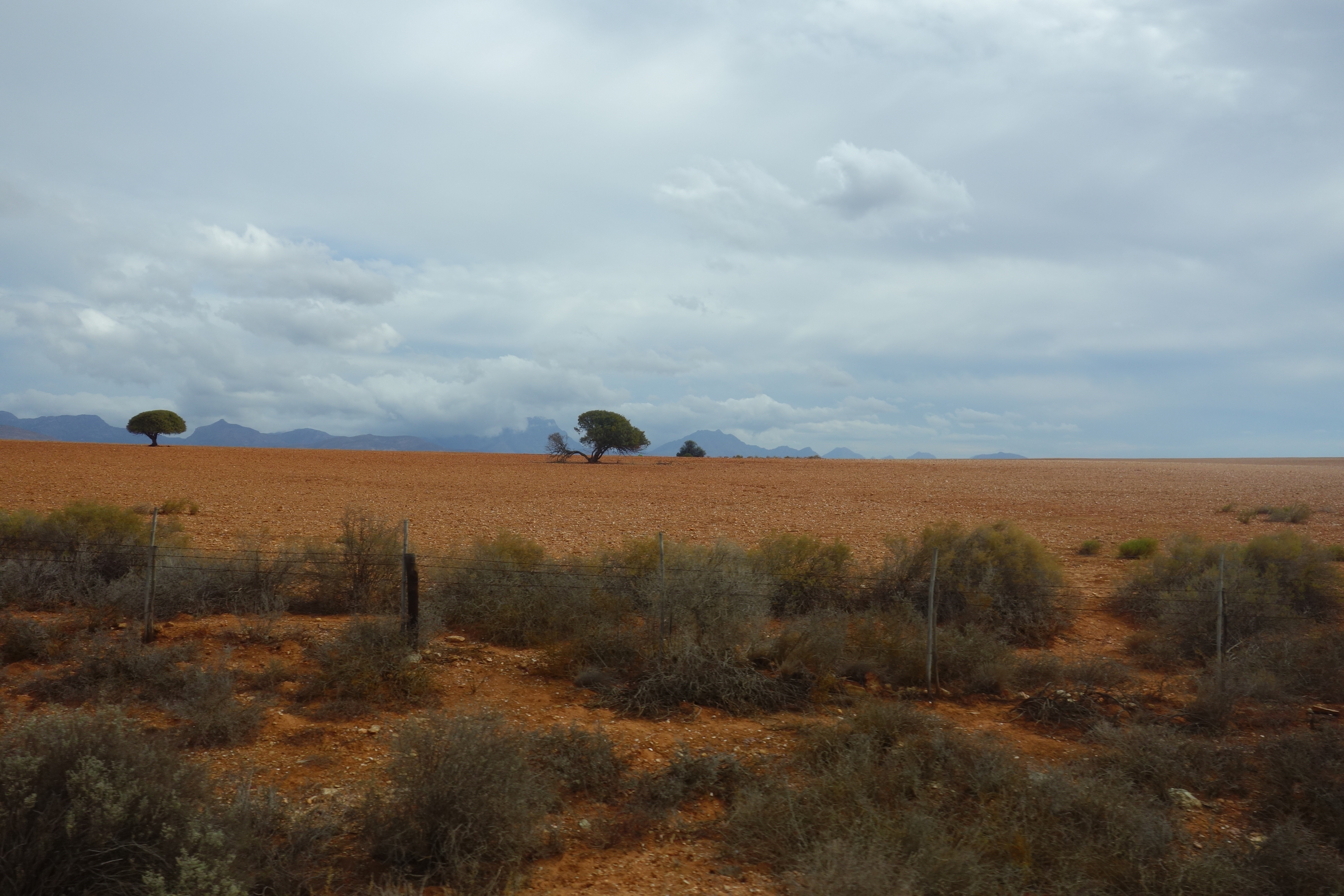 Oudtshoorn nach Swellendam