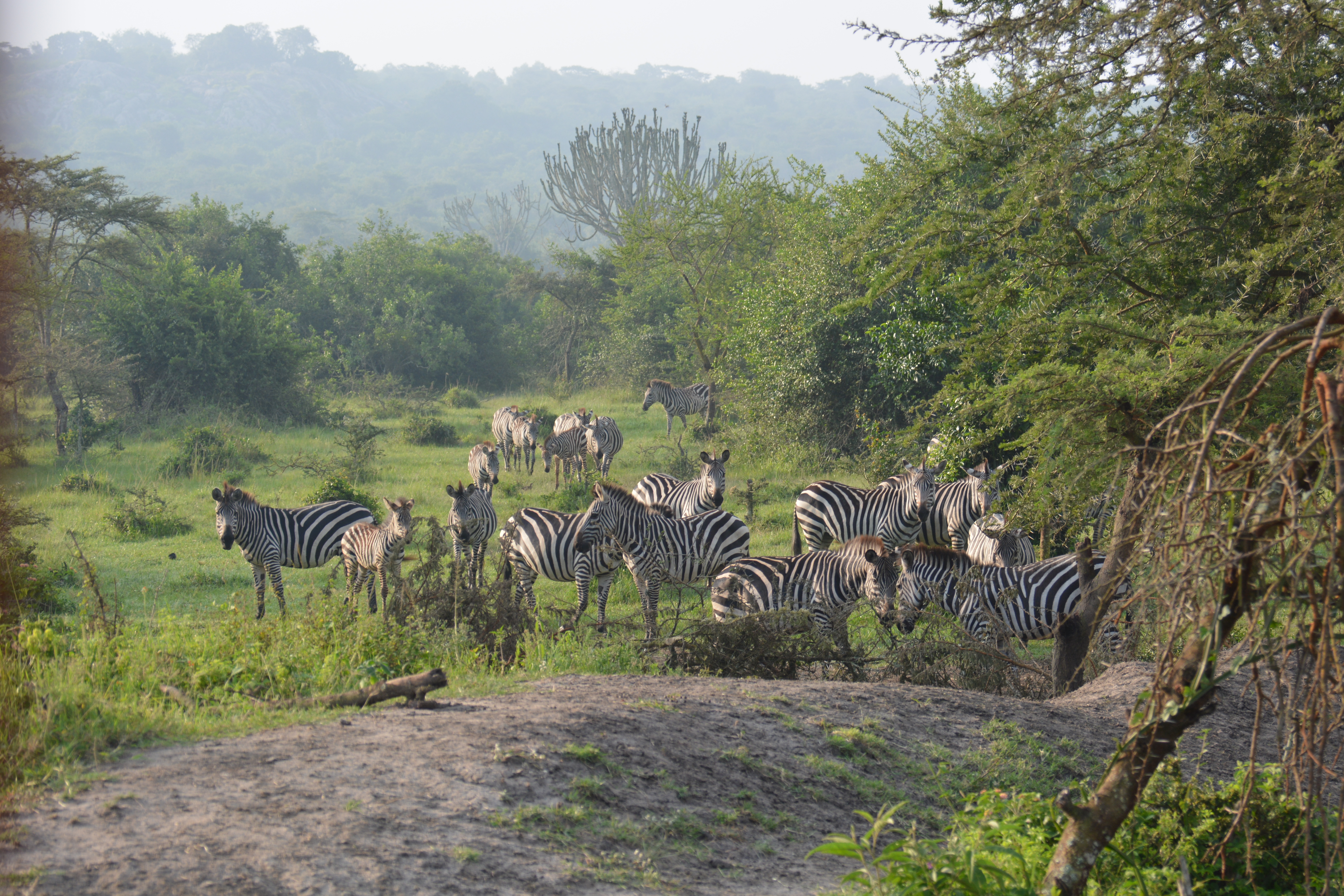 Lake Mbruo Nationalpark
