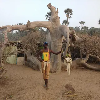 Gambia Reisen – das kleinste Land auf Afrikas Festland