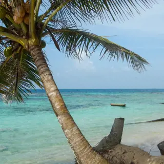 Rendez-vous mit der Welt