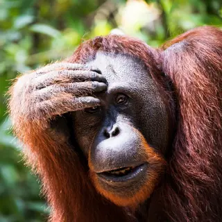 Rendez-vous mit der Welt