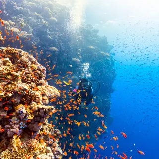 Worauf du bei der Wahl eines Tauchshops achten solltest