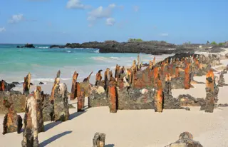 Mit Seelöwen und Pelikanen am Anlegesteg