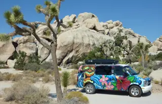 Begib dich auf die Suche nach dem Josuabaum