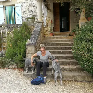 Tiersitting rund um die Welt