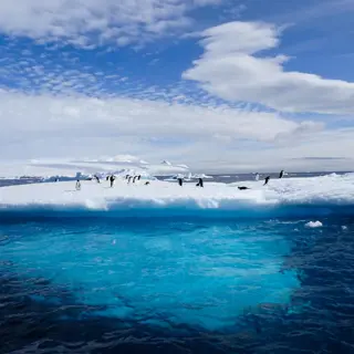 Durch und durch Globetrotter