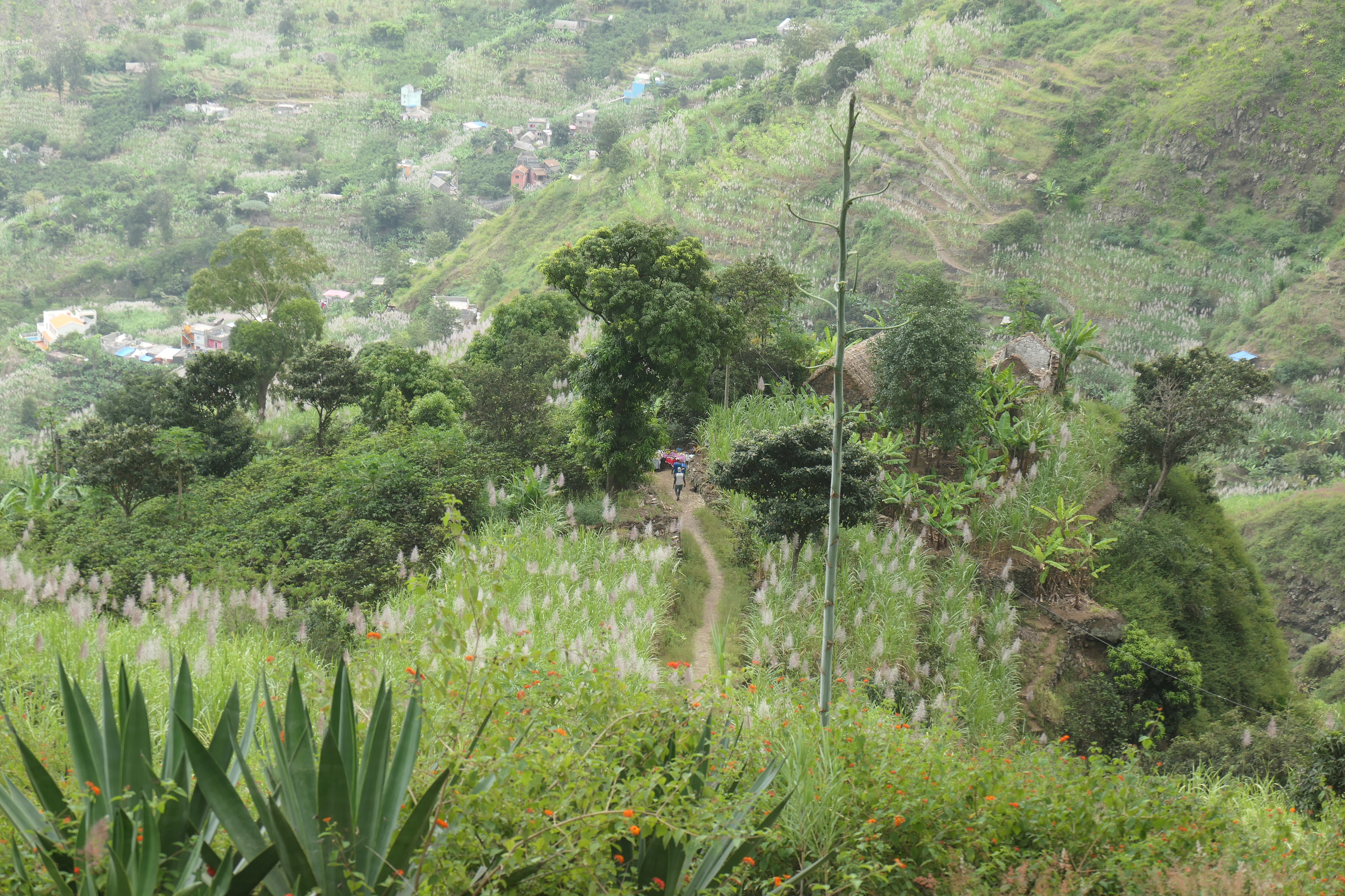 Paul-Tal, Santo Antão