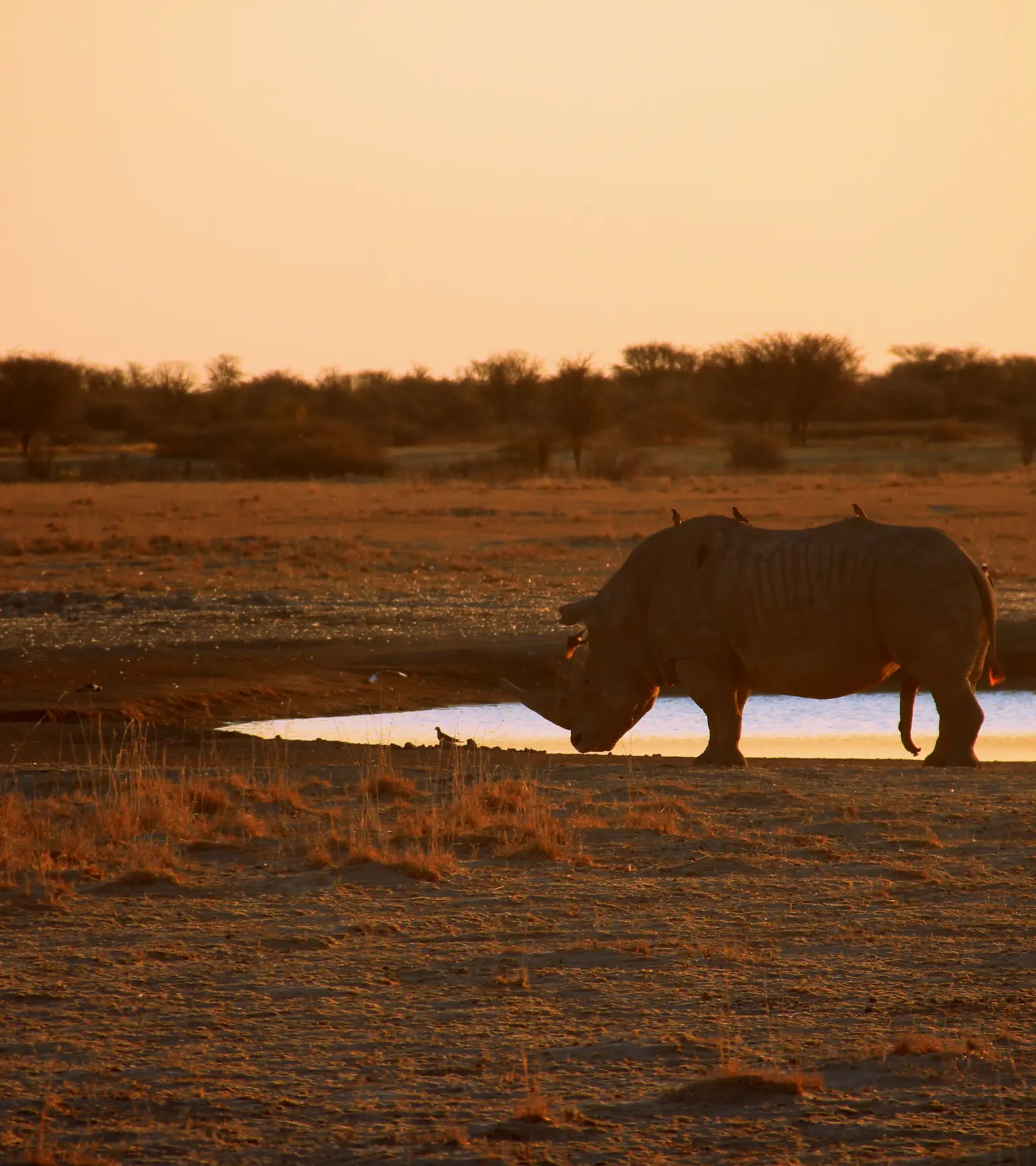 Beste Reisezeit Botswana