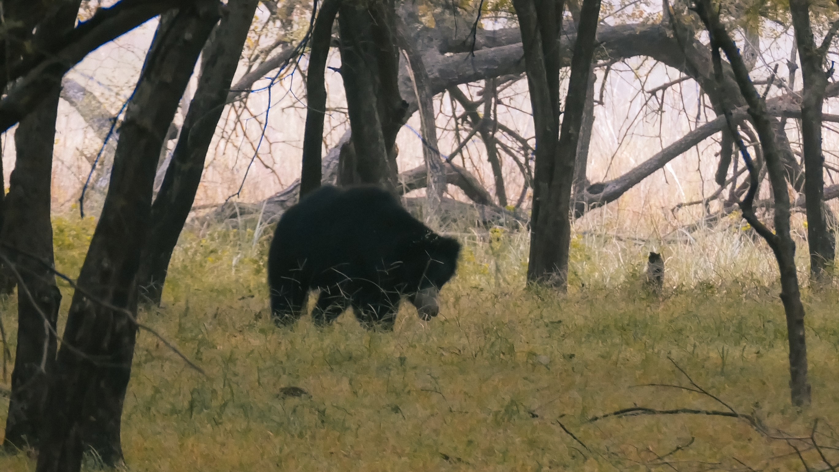 Ranthambore Nationalpark