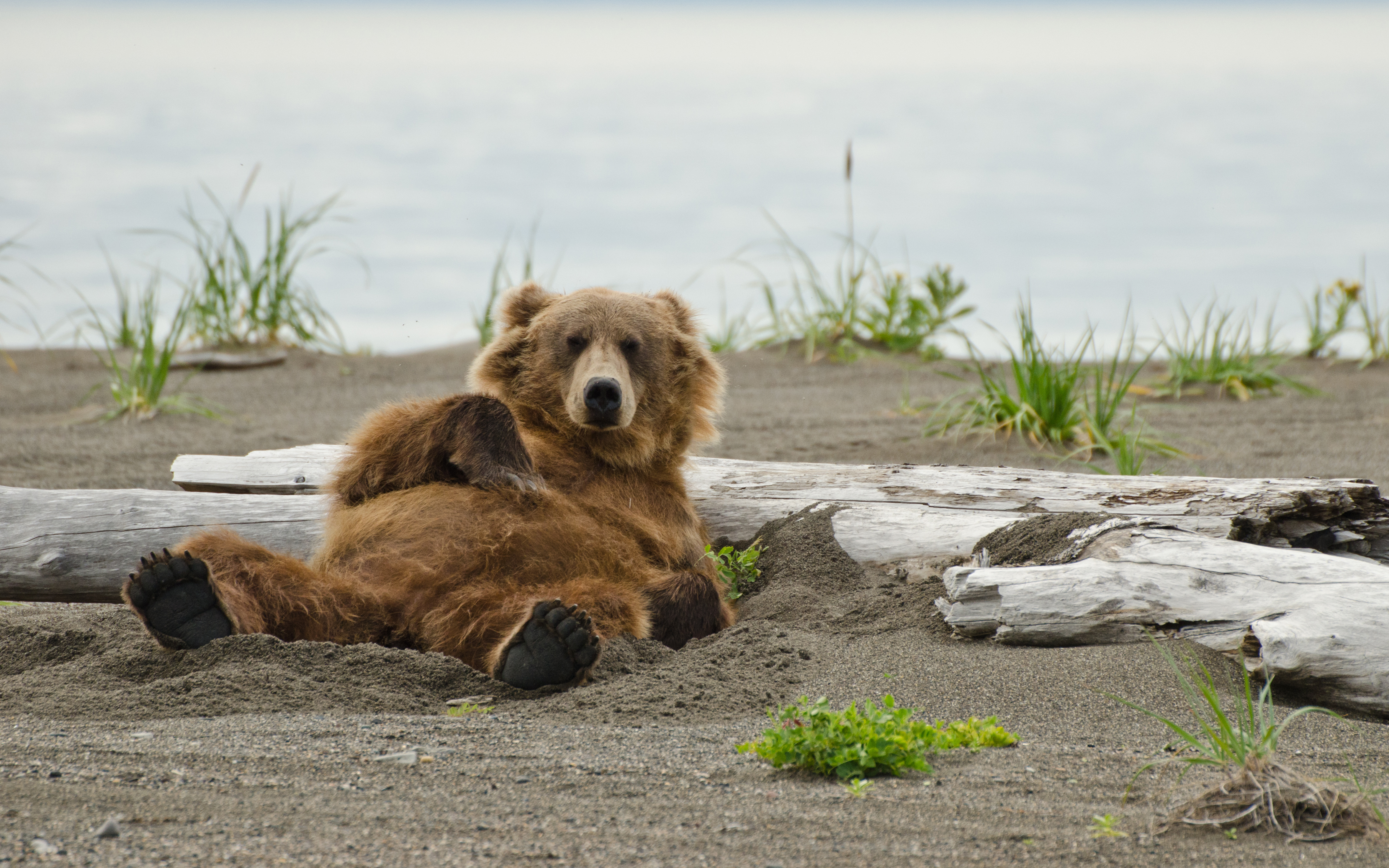 Übernachte in Camp-Atmosphäre in Zeltkabinen