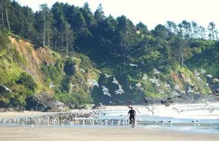 Fahre mit einem Beachcruiser den endlosen Strand entlang