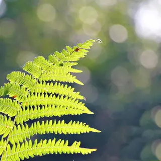 «Was in Sachen verantwortungsbewusst Reisen richtig ist, entscheidet jeder für sich.»