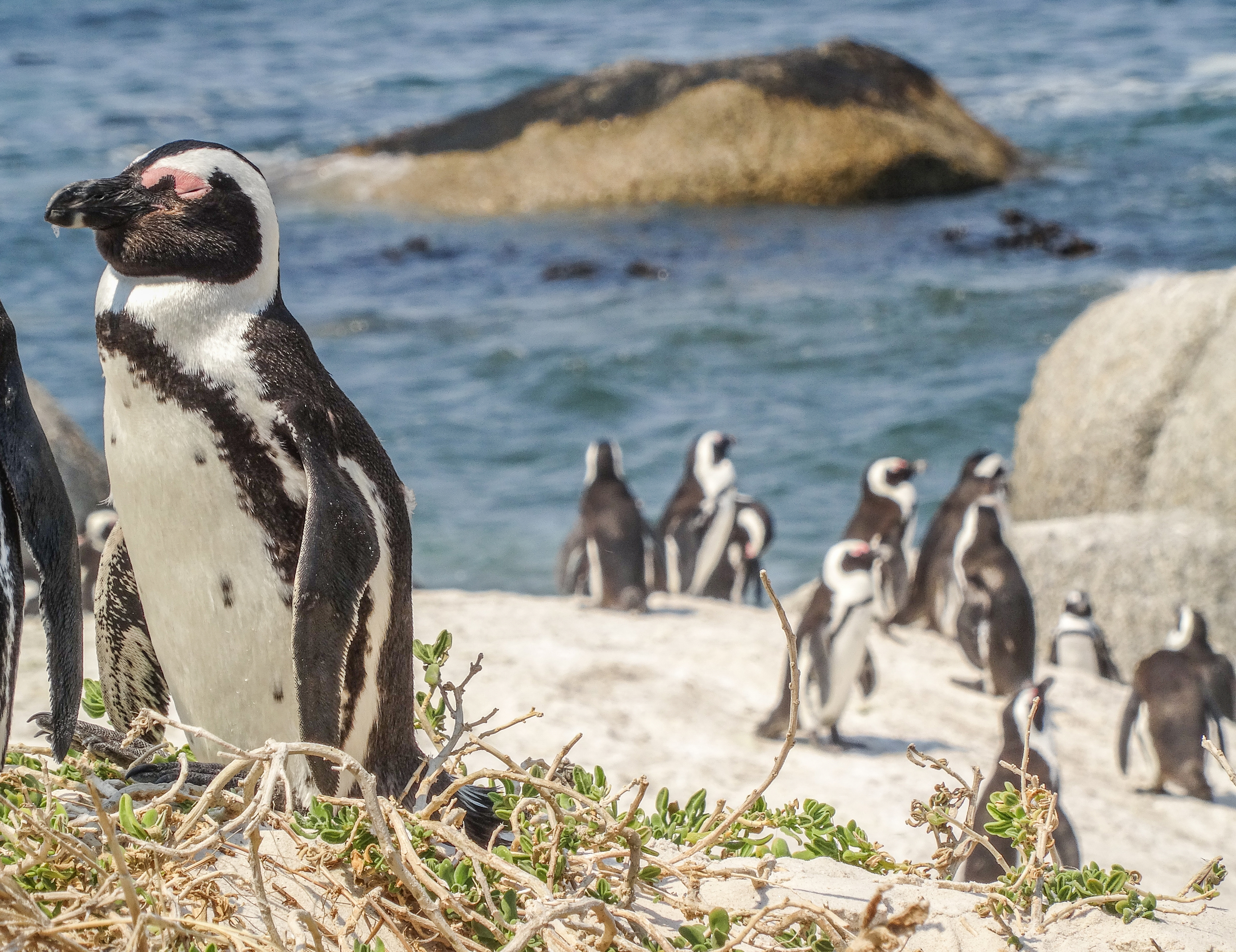 Freiwilligenarbeit im Ausland: sinnvoll oder nicht?