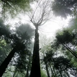 Waldbaden in Bosnien und Herzegowina