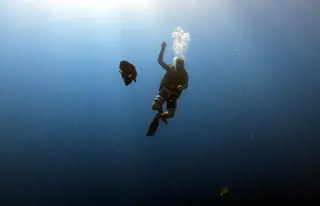 Anspruchsvolle Tauchreviere auf den Galapagos-Inseln