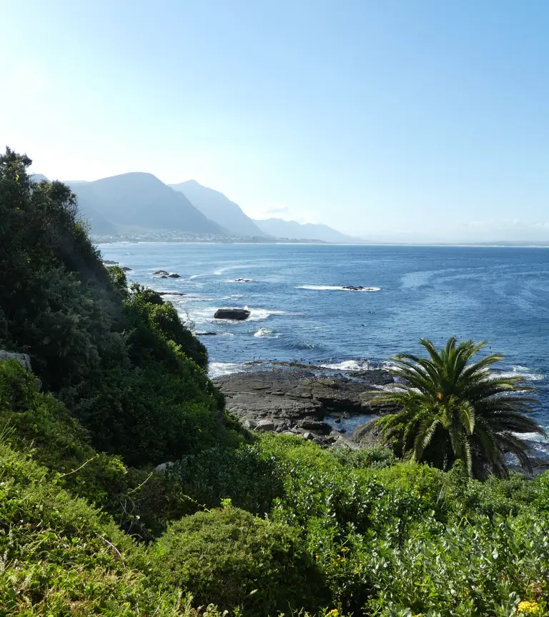 Einreisebestimmungen Südafrika