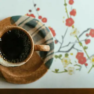 Japan in der Schweiz